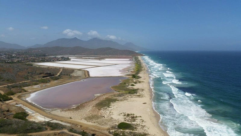 Copa Airlines to connect Panama City with Porlamar from November 2026