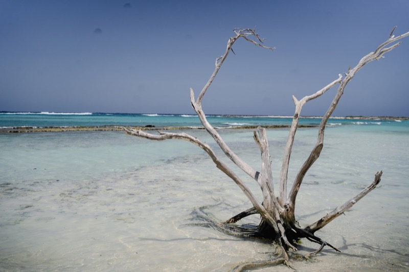 Aruba