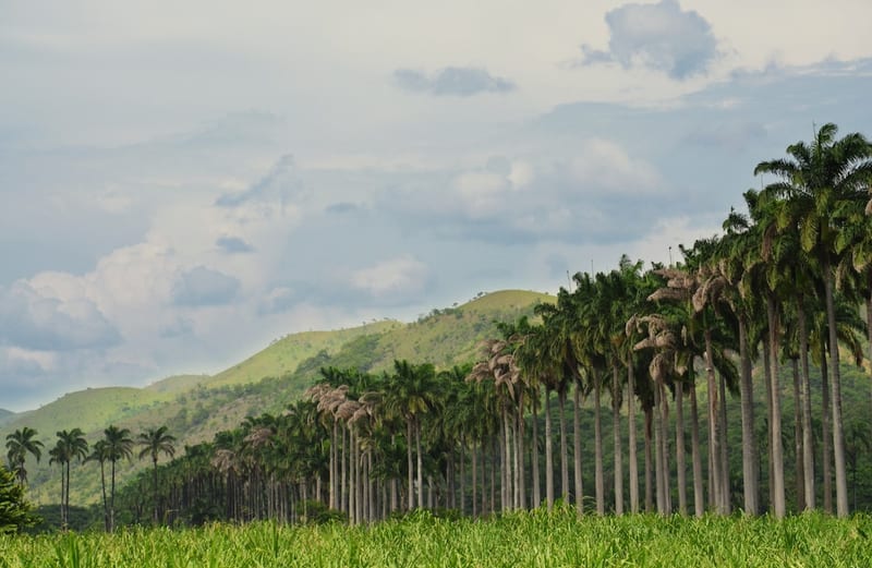 Maturín